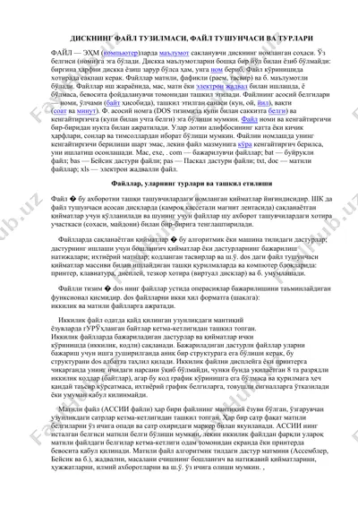diskning fayl tuzilmasi, fayl tushunchasi va turlari — DOCX