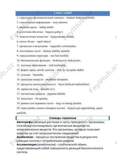 biologiya terimlari g'oyasi — DOCX
