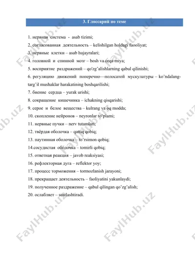 nervning anatomiysi glossariyasi — DOCX