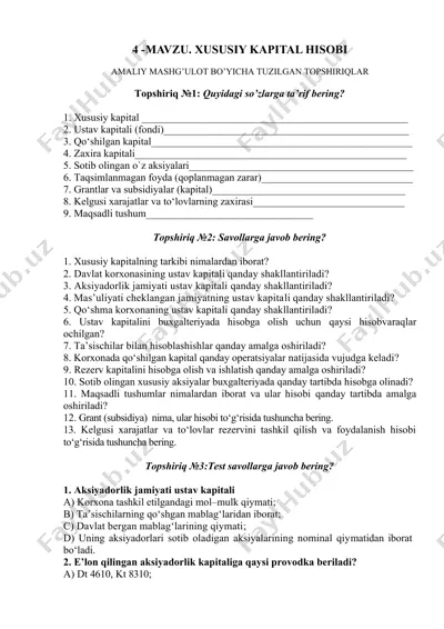 xususiy kapital hisobi — DOCX
