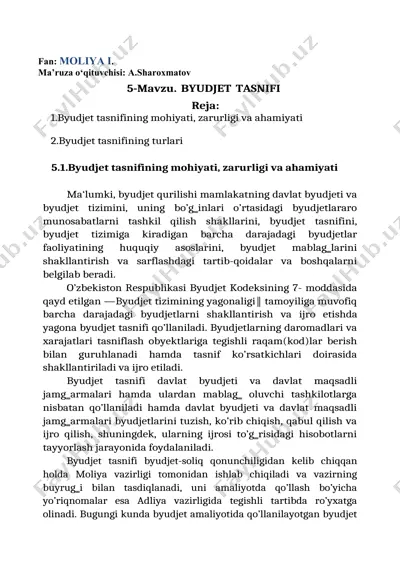 byudjet tasnifi — DOCX