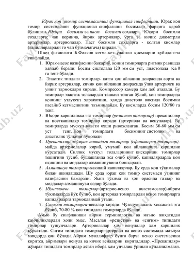 юраѐқон томир системаси — DOCX