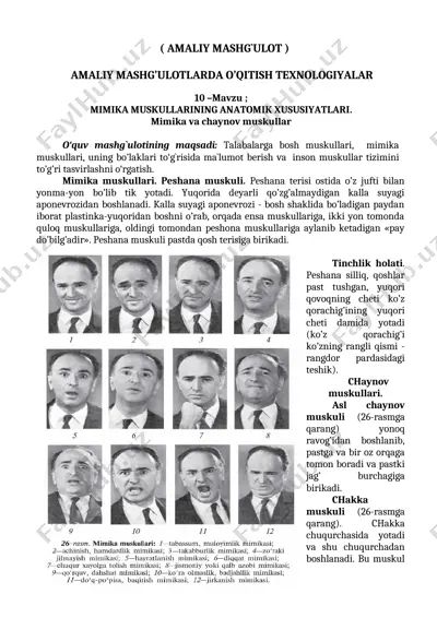 mimika va chaynov muskullari — DOC