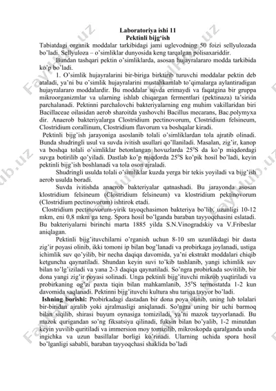 pektinli bijg‘ish — DOCX