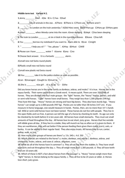 middle term test variant n 2 — DOCX
