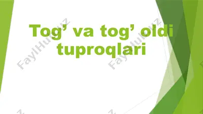 tog’ va tog’ oldi tuproqlari — PPTX