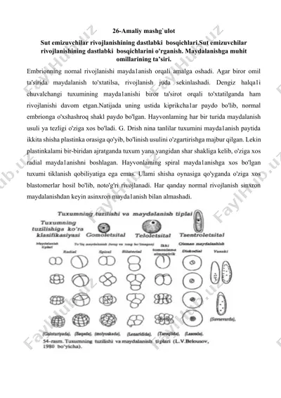 sut emizuvchilar rivojlanishining dastlabki bosqichlari — DOCX