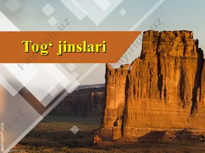 tog‘ jinslari — PPT