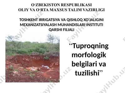 tuproqning morfologik belgilari va tuzilishi — PPTX