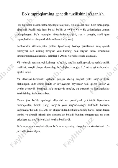 bo'z tuproqlarning genetik tuzilishini o'rganish — DOC