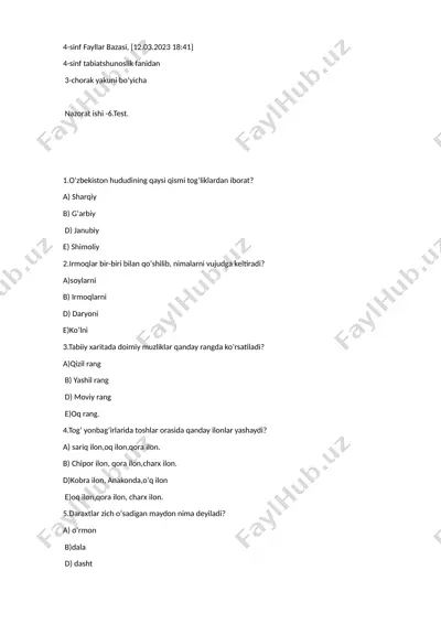 4-sinf fayllar bazasi — DOCX