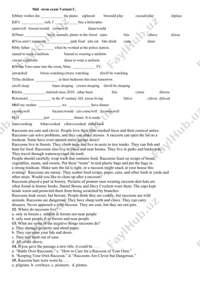english grammar test — DOCX