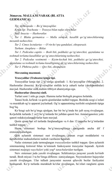 malla suvarak (blatta germanica) — DOCX