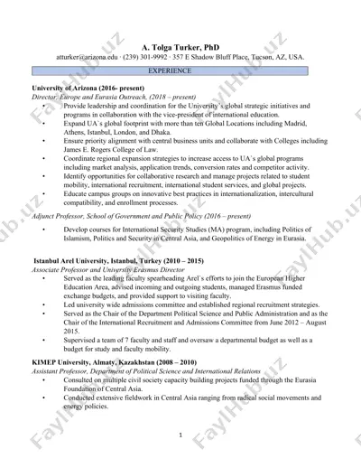 a. tolga turker, phd — DOCX