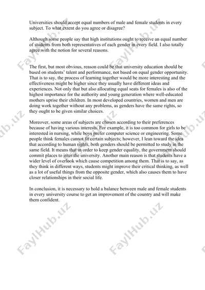 gender equality in universities — DOCX