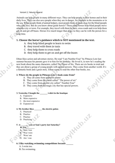 guide horses — DOCX