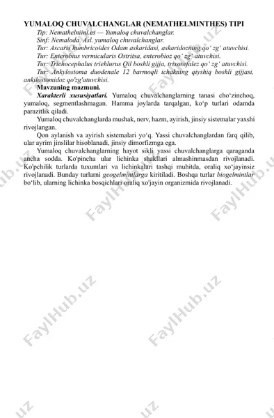 yumaloq chuvalchanglar (nemathelminthes) tipi — DOCX