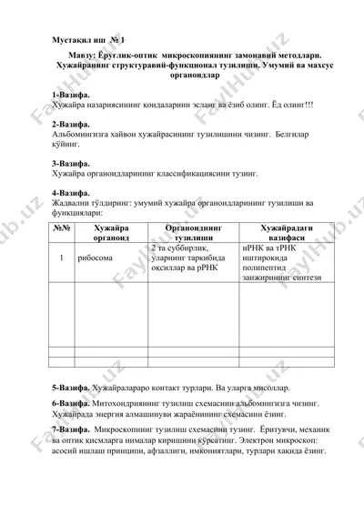 ёруғлик-оптик микроскопия — DOCX