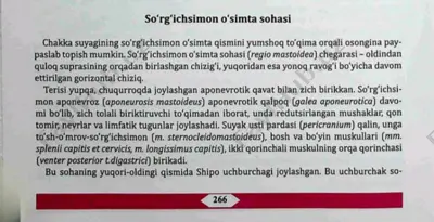 suyak o'simtasining anatomiyasi — PDF