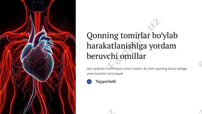 qonning tomirlar boʻylab harakatlanishiga yordam beruvchi omillar — PPTX
