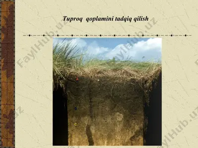tuproq qoplamini tadqiq qilish — PPT