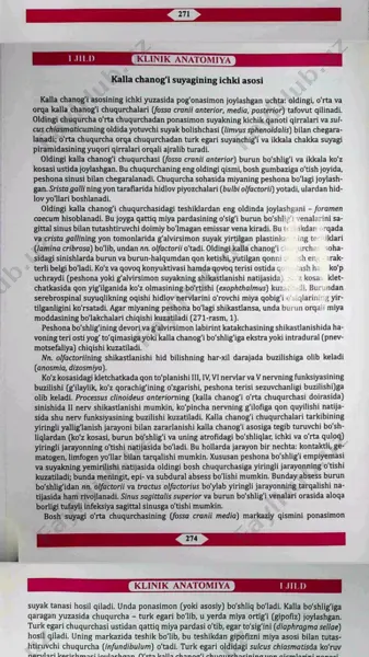 kalla chanog'i suyagining ichki asosi — PDF