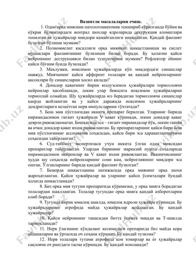 вазиятли масалаларни ечиш. — DOCX