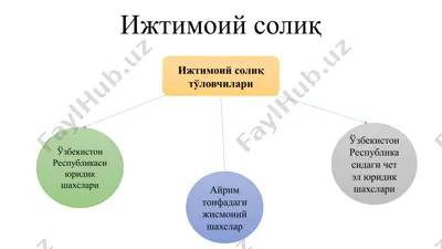 ижтимоий солиқ — PPTX