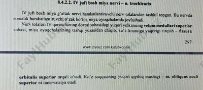 iv juft bosh miya nervi (n. trochlearis) — PDF