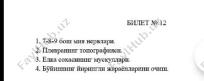 plevra — PDF