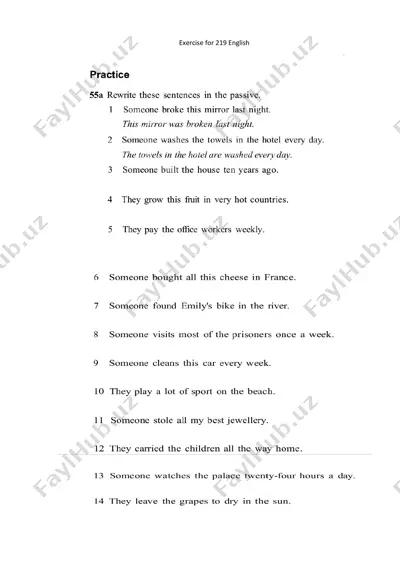 exercise for 219 english — DOCX
