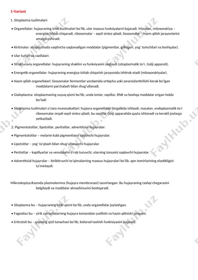 sitoplazma tuzilmalari — DOCX