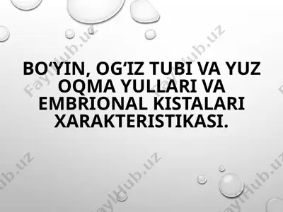 bo‘yin, og‘iz tubi va yuz oqmayullari va embrional kistalarning xarakteristikasi — PPTX
