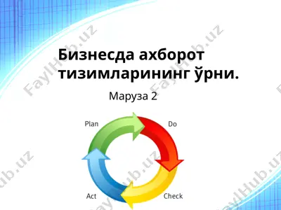 biznesdagi axborot tizimlarining urni — PPTX