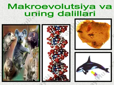 makroevolutsiya va uning dalillari — PPTX