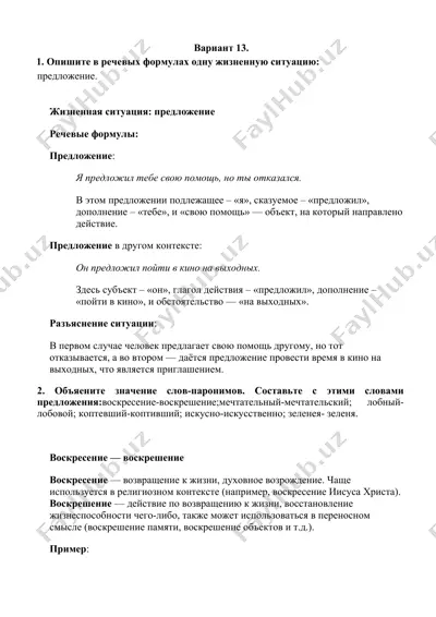 жизненные ситуации и значения слов-паронимов — DOCX