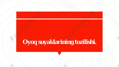 oyoq suyaklarining tuzilishi — PDF