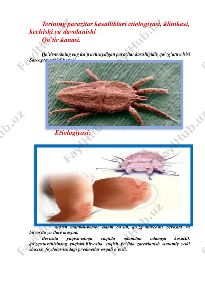 teri qo`zg`atuvchisi (qo`tir) parazitar kasalliklari etiologiyasi, klinikasi, kechishi va davolanishi — DOCX