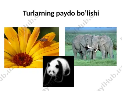 turlarning paydo bo'lishi — PPTX
