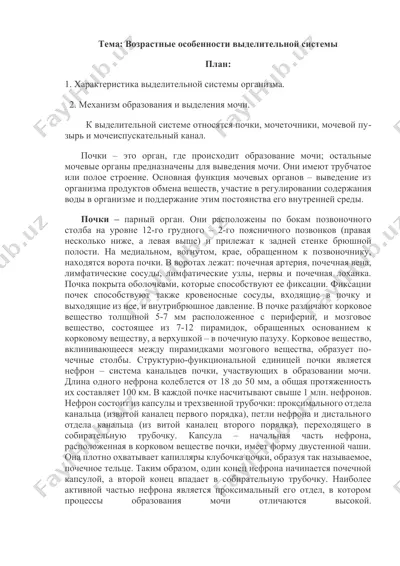 выделительная система — DOCX