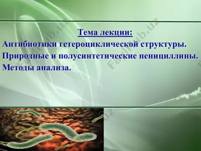 антибиотики гетероциклической структуры — PDF