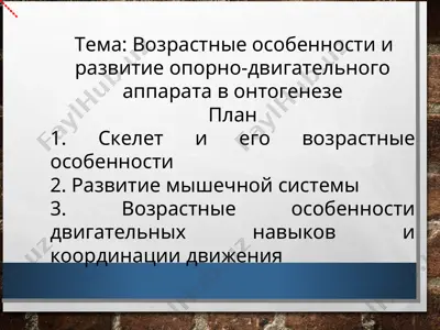 возрастные особенности и развитие опорно-двигательного аппарата в онтогенезе — PPT