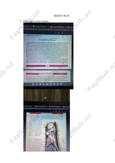 опка илдизлари скелетотопияси ва синтопияси — DOCX