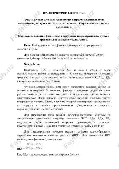 изучение действия физических нагрузок на деятельность сердечно-сосудистую и дыхательную системы — DOCX