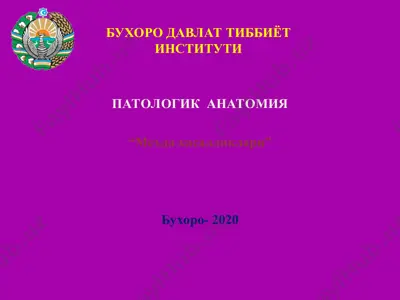 меъда касалликлари — PPT