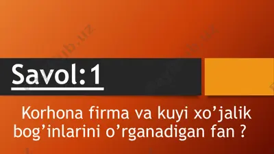 korhona firmalari va kuyi xo'jalik bo'g'inlari — PPTX