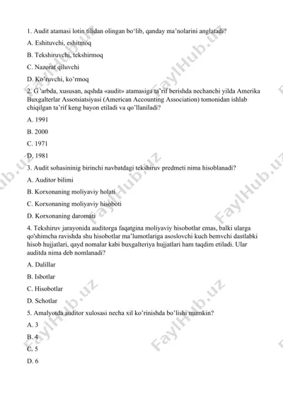 audit atamasi — DOCX