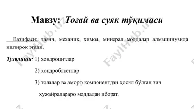 тоғай ва суяк тўқимаси — PPTX