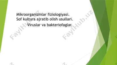 mikroorganizmlar fiziologiyasi — PPTX