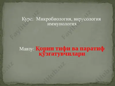 корин тифи (salmonella typhi) — PPTX
